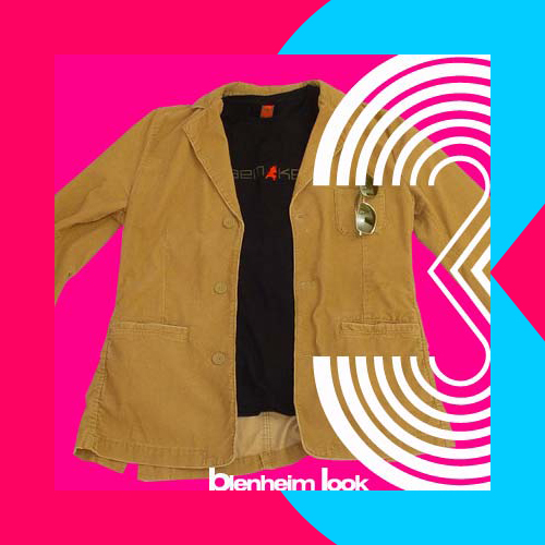 blenheim_look_3.jpg