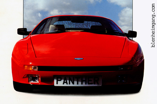 Panther Solo 2