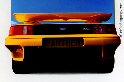 Panther Solo 2