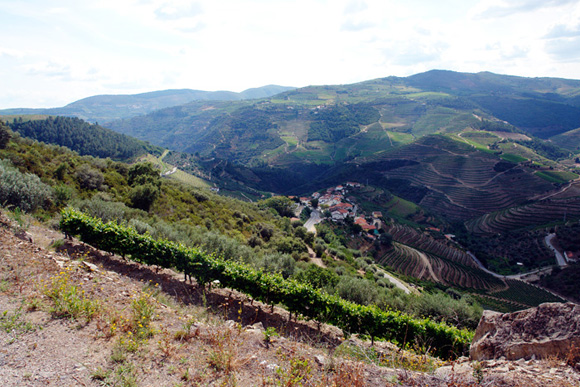 090703-douro-500c-12