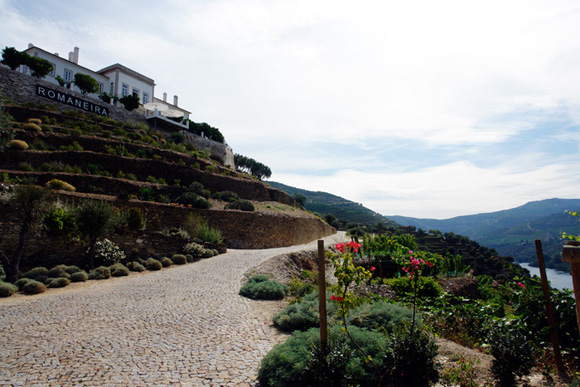 090703-douro-500c-15