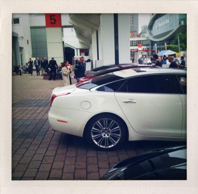 IMG_1029 IMG_1029