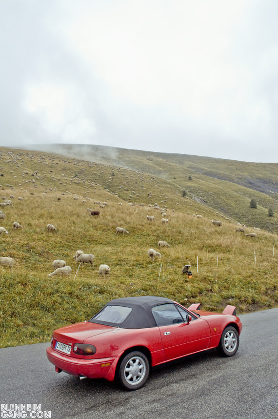 231209-coupe_alpes-04