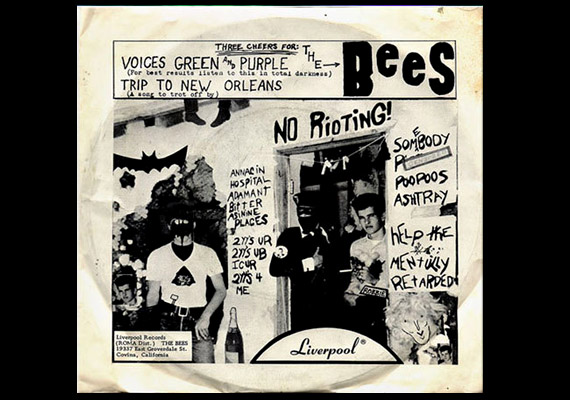 The Bees, l'acid-punk à l'état sauvage