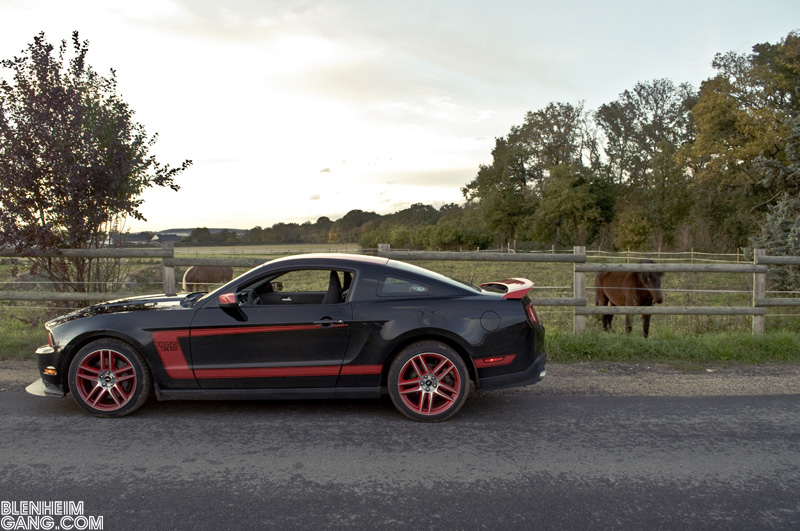 CAR LIFE : PONY CAR