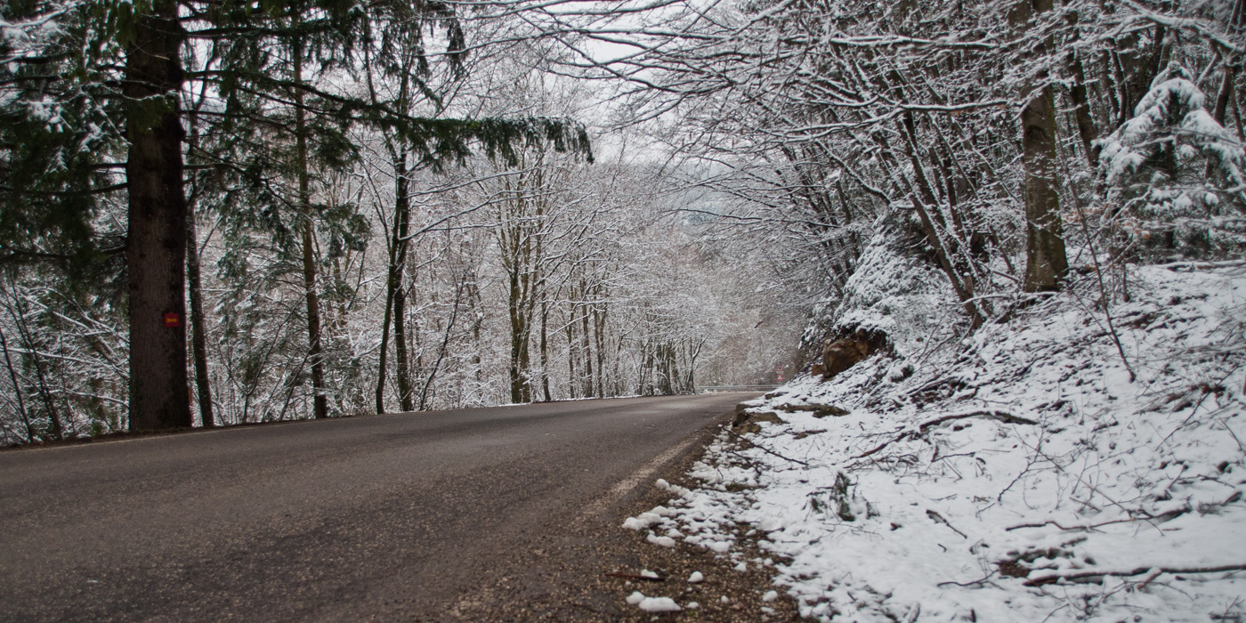 274 KM, VENETO