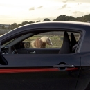 PONY CAR / CAR LIFE