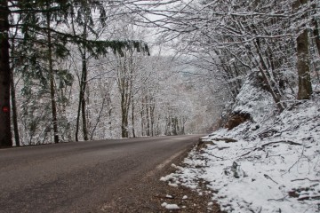 274 KM, VENETO
